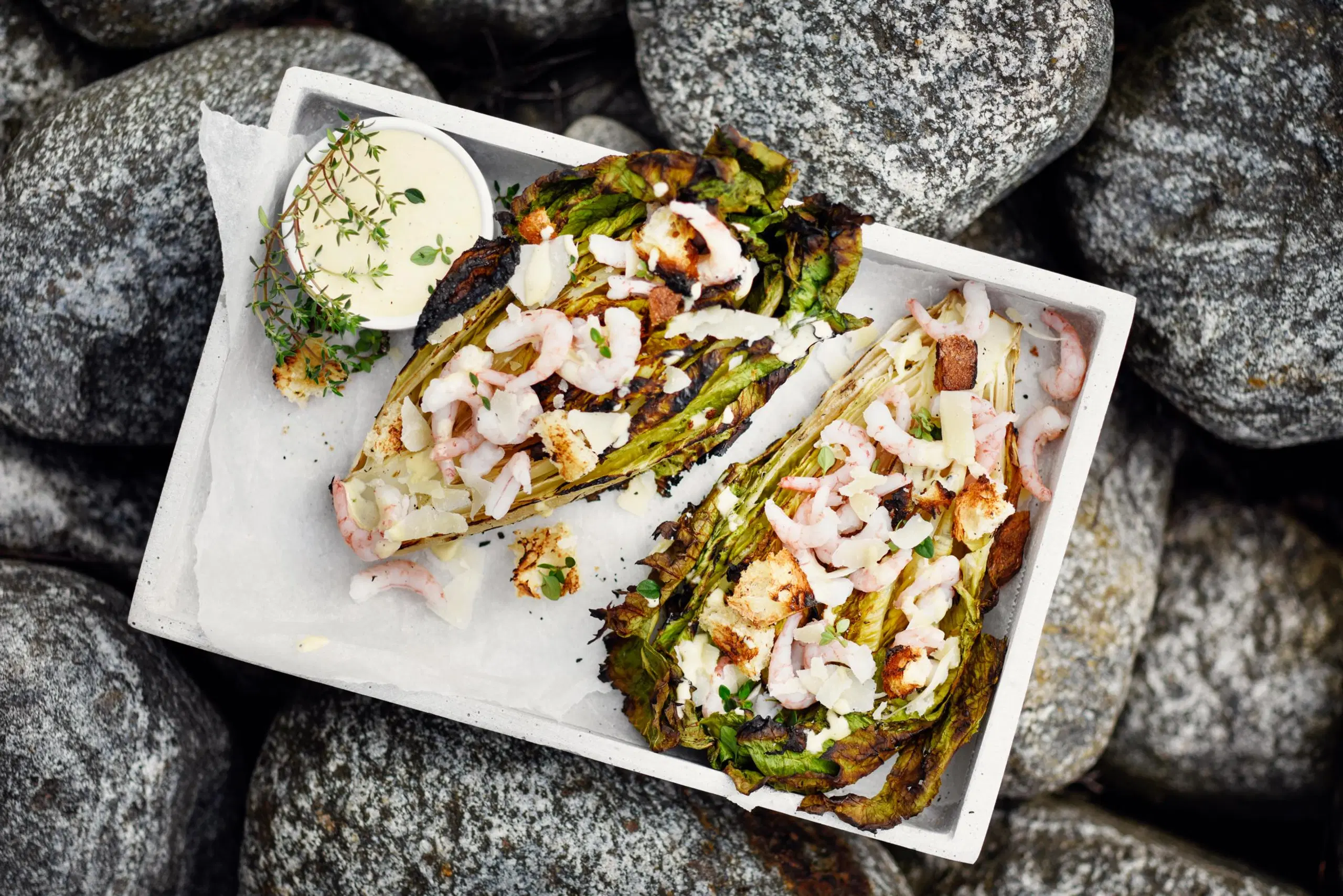 Grillattu katkarapusalaatti