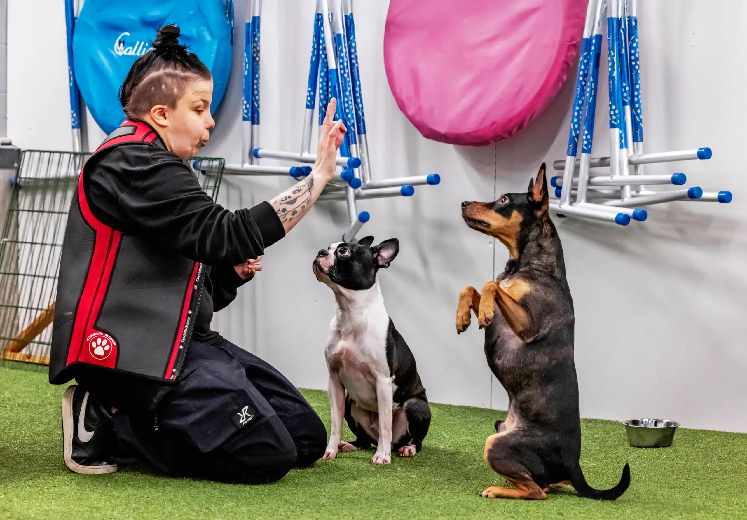 Jasmin Pyykkö istuu polvillaan toko-hallin lattialla kahden koiran vieressä.