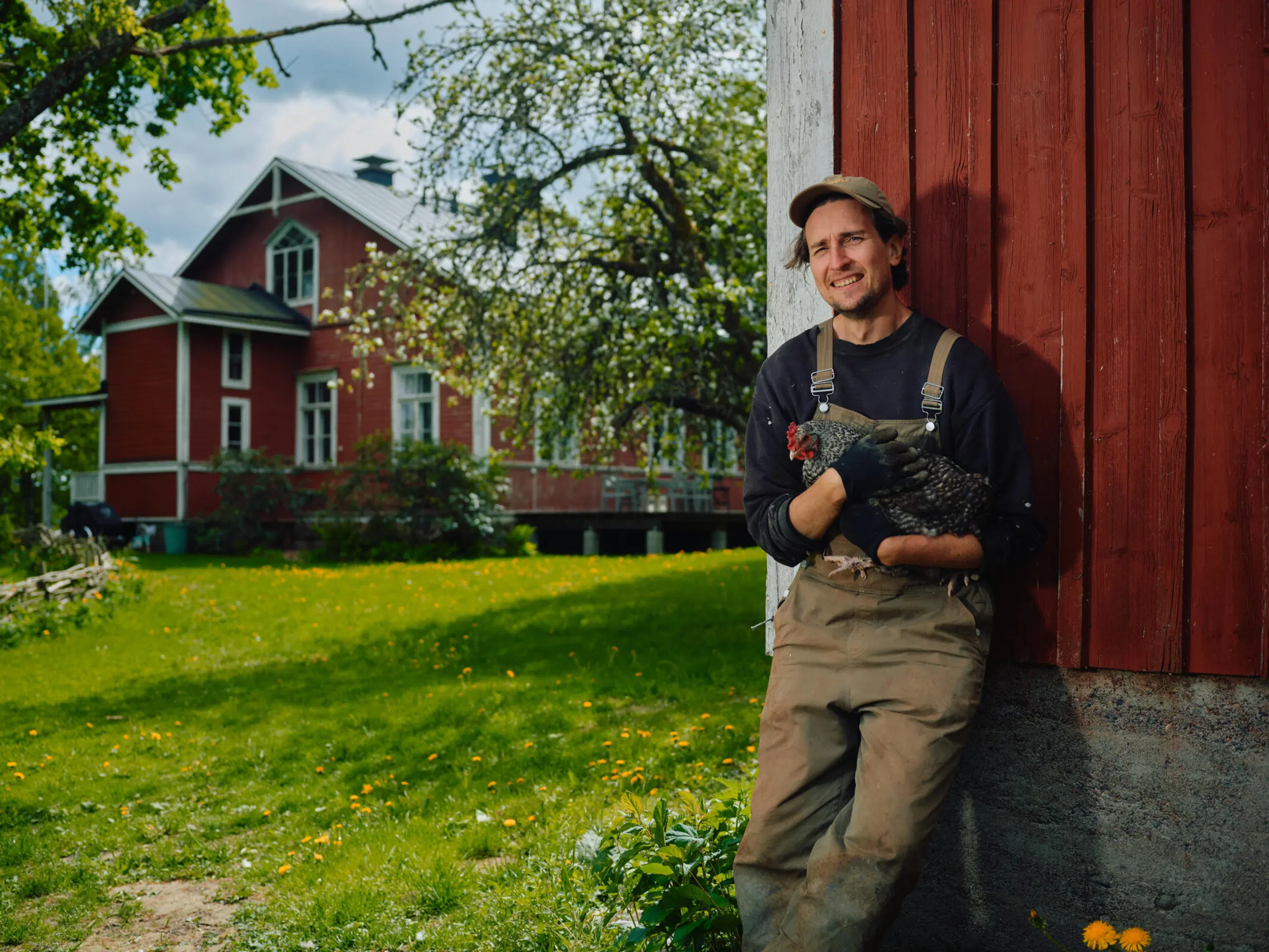 Rafael Donner kotipihassaan kana sylissä.