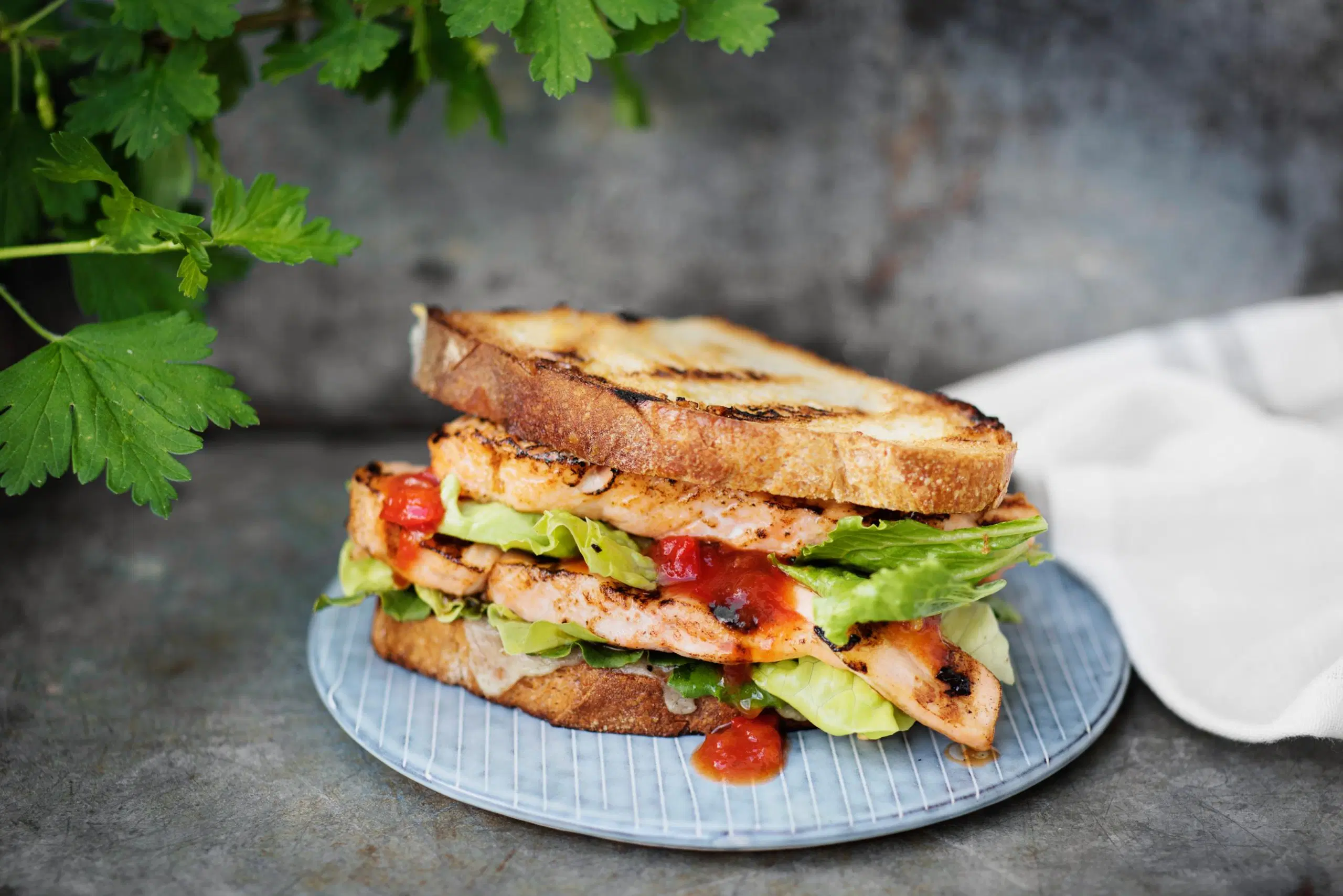 Grillattu lohileipä