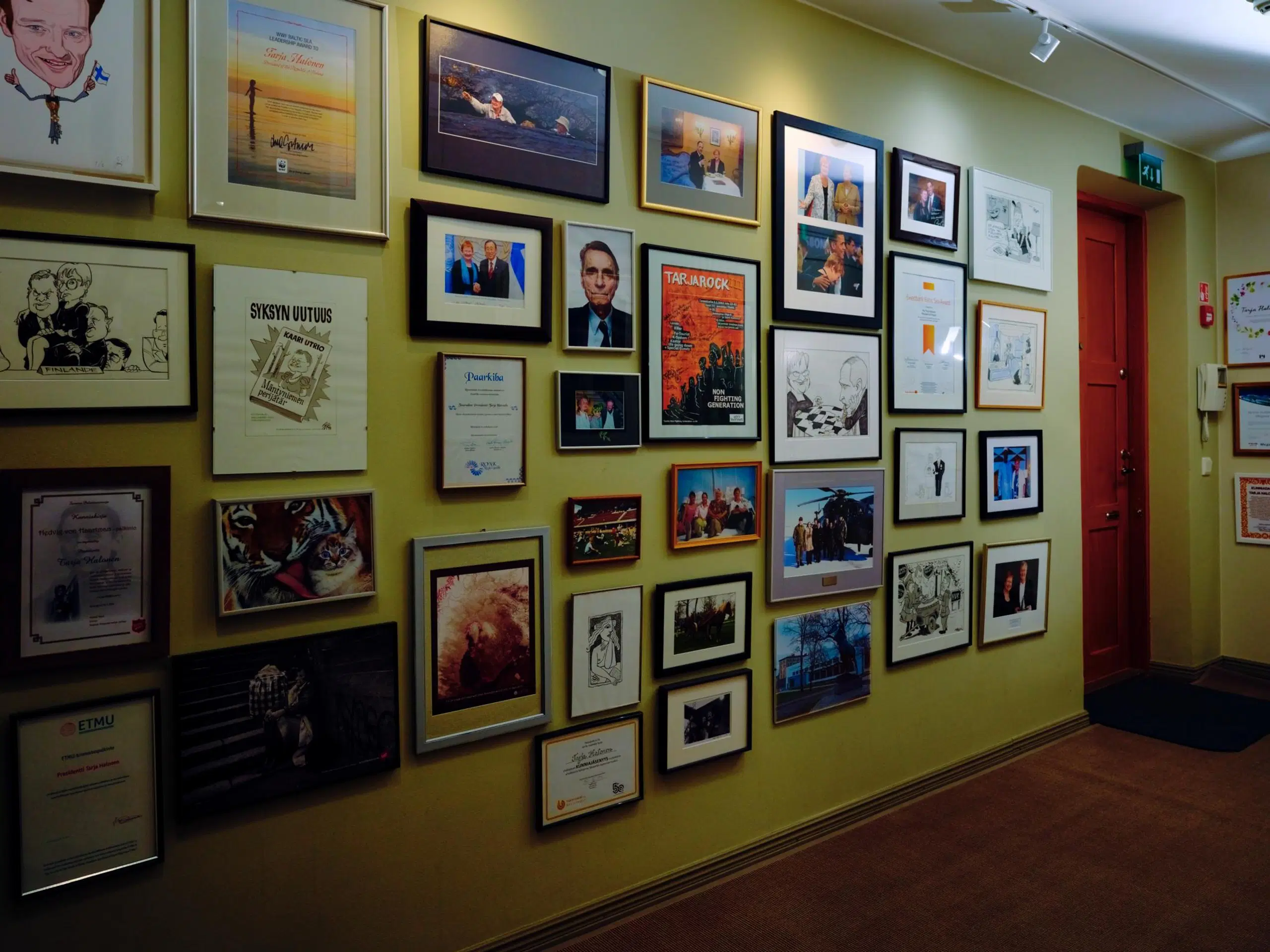Valokuvia, kunniakirjoja ja pilapiirroksia kehyksissä vihreällä seinällä.