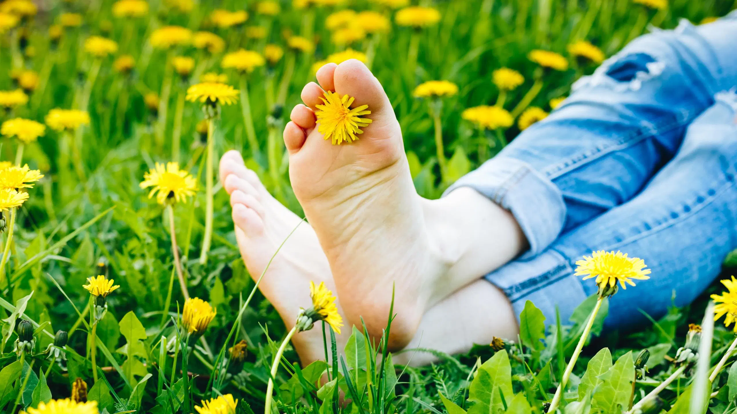Voikukkien täyttämällä nurmella makaavan naisen paljaat jalkapohjat. Naisella on jalassa farkut ja varpaiden välissä yksi voikukka.