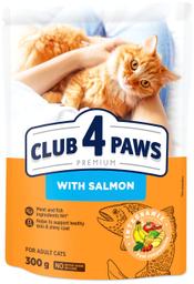 Club4 Paws Kuivtoit Kassidele Lõhega 300g