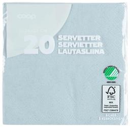 Salvrätik hall 24cm 20tk