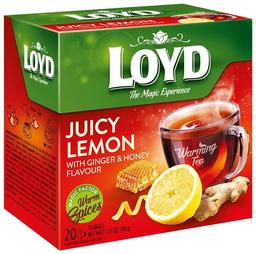 Loyd Taime-ja puuviljatee 20*2g sidruni-ingveri-meemaitseline
