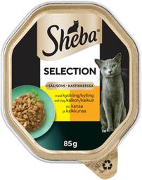 Täissööt kassidele kana- ja kalkuniliha kastmes 85 g