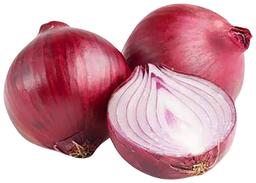 Punane mugulsibul