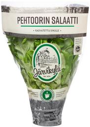 Pehtoorin salat