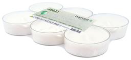 Teeküünal Hansa Candle Maxi 9h 6tk rapsiõlist