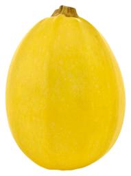 Spagettkõrvits