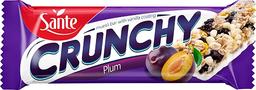 Sante Crunchy müslibatoon 40g ploomi vanillikattega