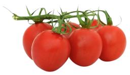 Kirsskobartomat I klass