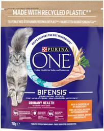 Purina One Urinary Health kana ja nisuga kuivtoit kassile 750 g
