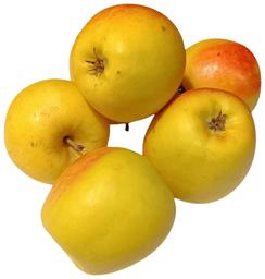 Õun Zarja Altau I klass