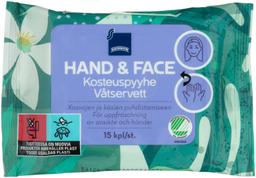 Niisked salvrätid kätele ja näole 15 tk