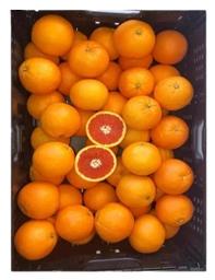 Apelsin Cara Cara I klass