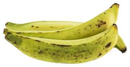 Jahubanaan