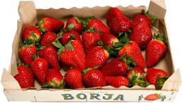 Maasikad karbis 0,9 Kg