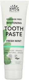 Hambapasta fresh mint 75ml