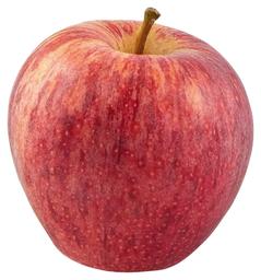 Mahe õun Royal Gala I klass FR-BIO-01