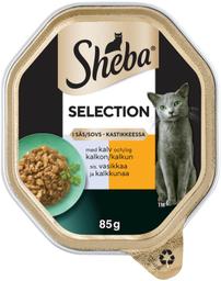 Täissööt kassidele vasika- ja kalkuniliha kastmes 85 g