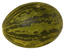 Melon roheline Piel De Sapo