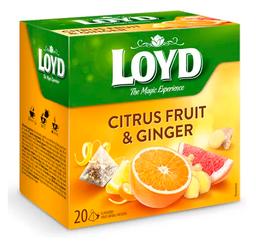 Taime- ja puuviljatee ingveri ja tsitruse 20 pk, LOYD, 40 g