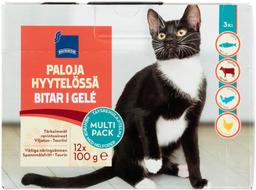 Täissööt kassidele 12 x 100 g