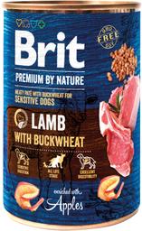 Brit PbN koerteeine lamba ja tatraga 400g