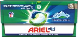 Geelkapslid Mountain Spring, ARIEL, 31 tk