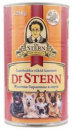 Dr.Stern Konserv koerale 1.25kg lambaliha kastmes