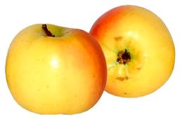 Õun Tellisaar I klass