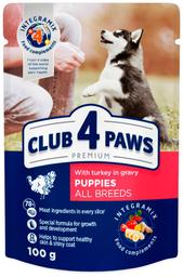 Club4Paws Premium konserv kutsikatele kalkunilihaga kastmes 0.1g