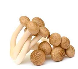 Seen Shimeji pruun 150 g