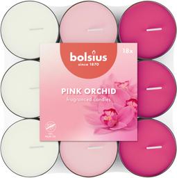 18 lõhna-teeküünalt bolsius 3,5h orhidee