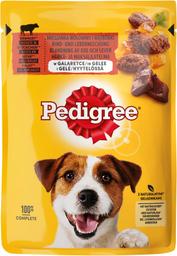 Pedigree koeraeine 100g loomaliha