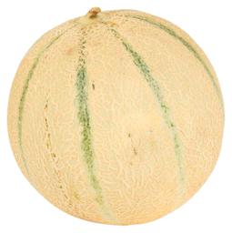 Melon Cantaloupe