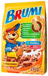 BRUMI hommikuhelbed küpsised šokolaadi tükkidega 250g