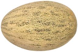 Melon Kesk-Aasia
