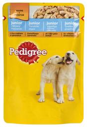Pedigree Junior koeraeine 100g kanaliha
