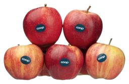 Coop Õun Roual Gala I klass