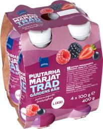 Marjamaitseline jogurtijook, 4 x 100 g
