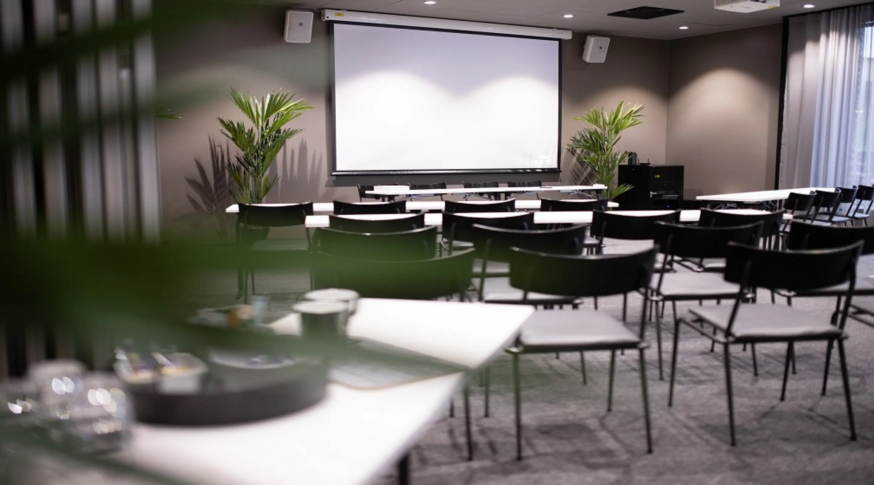 Modern conference room with rows of chairs, white projection screen, and potted plants. Gray carpeted floor and minimalist decor.