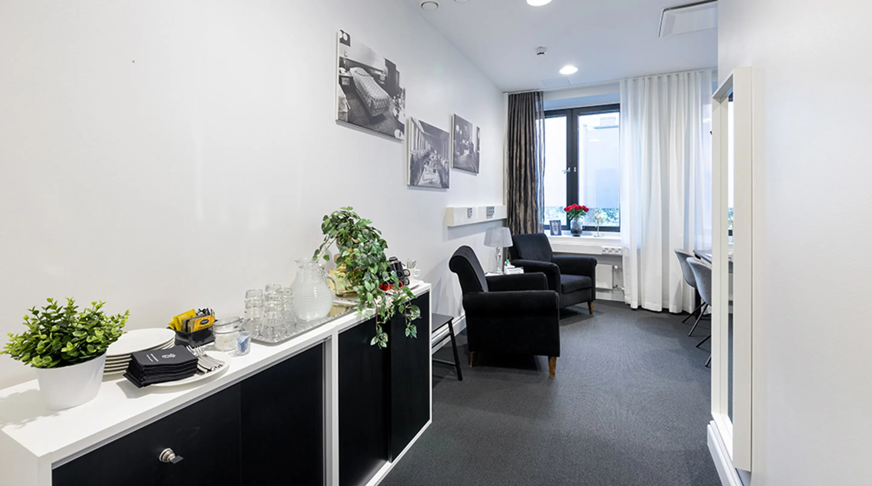 Modern bright room with soft grey carpet, black armchairs by the window, and white cabinet with plants.