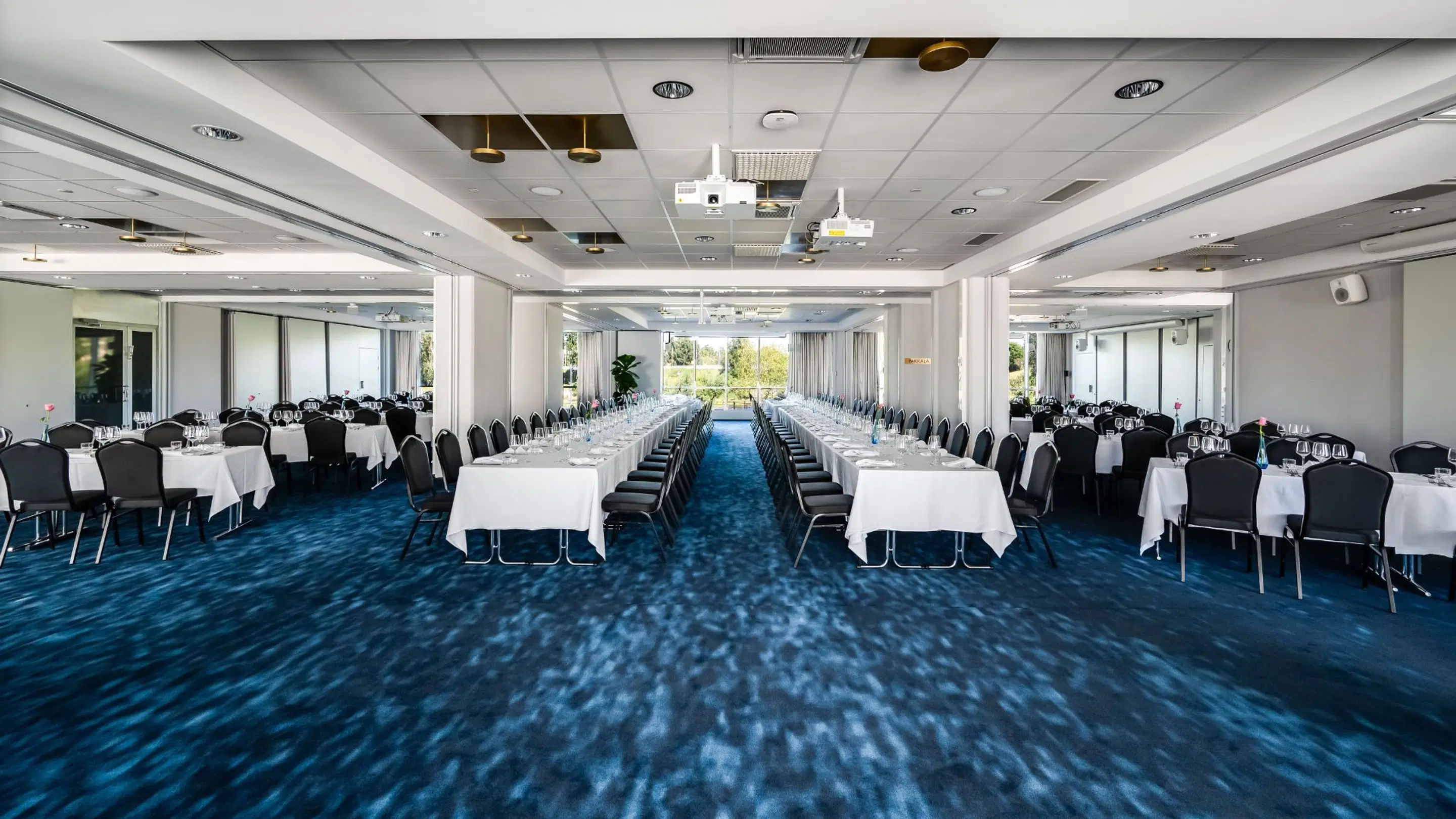 Spacious conference room with blue carpeted floor, white tables and black chairs. Well-lit space with windows providing natural light along the back wall.