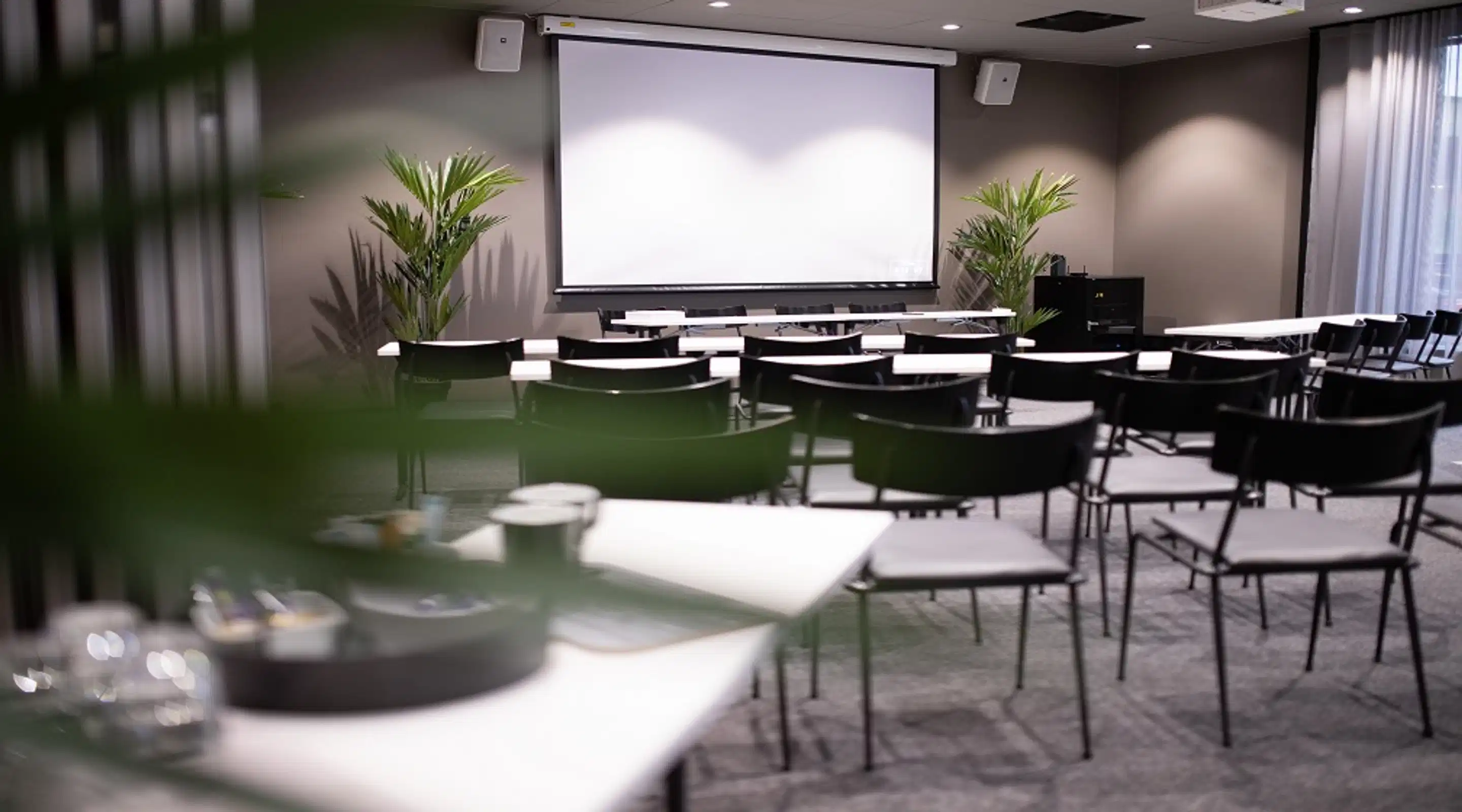 Modern conference room with rows of chairs, white projection screen, and potted plants. Gray carpeted floor and minimalist decor.