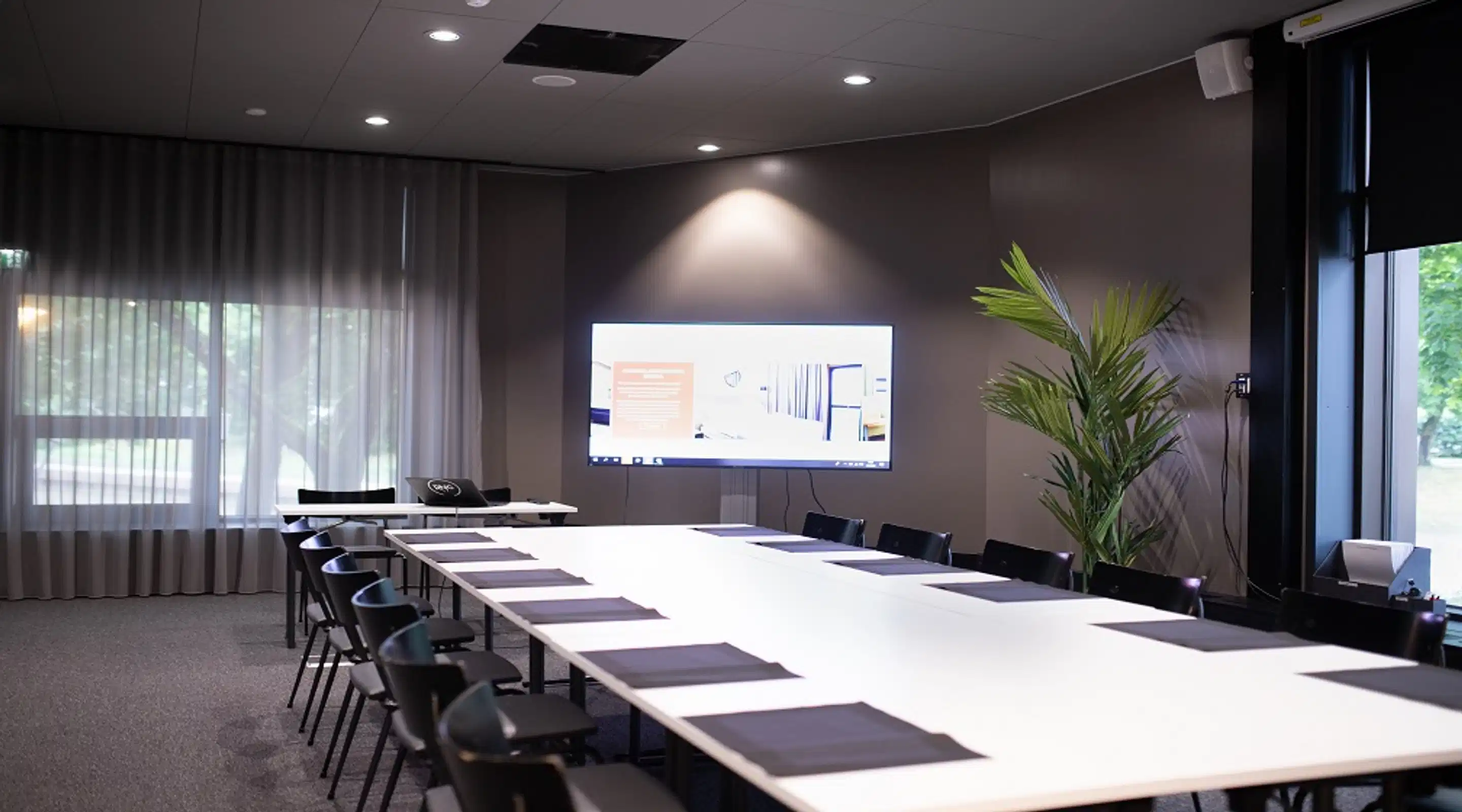 Modern meeting room with a long light-colored table, black chairs, wall-mounted display and a potted palm. Light carpeted floor and large windows with curtains.