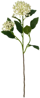 Hortensia 55 cm valkoinen