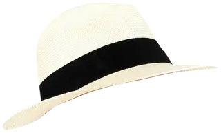 KN Kati Niemi Carlos hattu