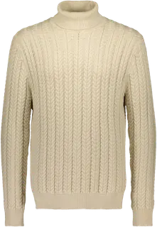 Selected Slhbrai ls knit cable roll neck pooloneule